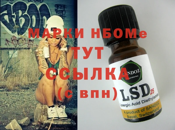 ПСИЛОЦИБИНОВЫЕ ГРИБЫ Михайлов