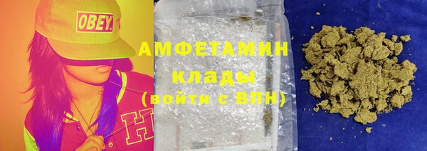 ПСИЛОЦИБИНОВЫЕ ГРИБЫ Михайлов