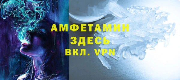 ПСИЛОЦИБИНОВЫЕ ГРИБЫ Михайлов
